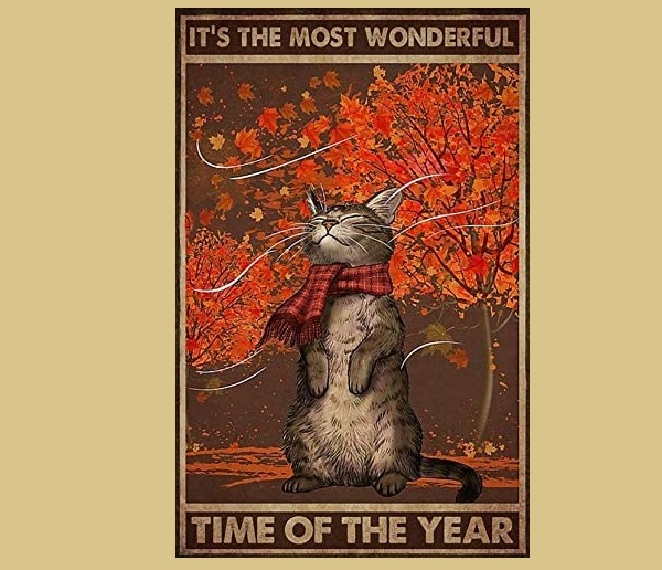 Autumn Time Cat Most Wonderful Time of the Year